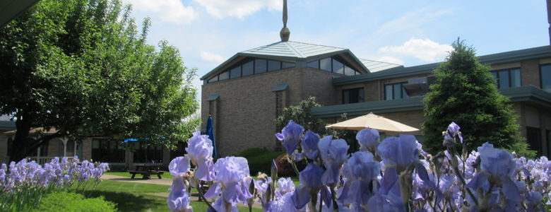 Beautiful courtyards for residents and families to enjoy